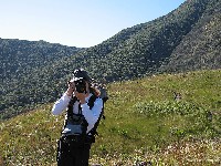  pico parana e arredores