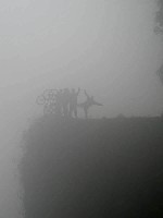  downhill la cumbre coroico