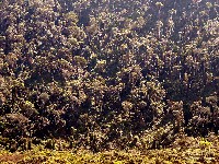  tira chapeu e pedra alta bocaina