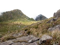  cabeca de leoa e cara de gorila