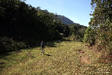  pico dos marins