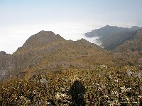  cabeca de touro e tartarugao na serra fina