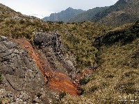  cabeca de touro e tartarugao na serra fina
