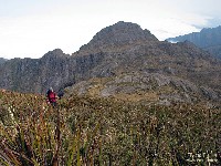  cabeca de touro e tartarugao na serra fina