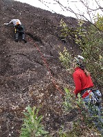  serra negra, cristal e agulhas negras outras pessoas