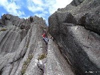  serra negra, cristal e agulhas negras outras pessoas