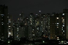  noturnas sp