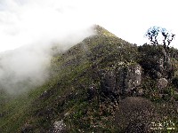  novamente nas montanhas esquecidas do pni