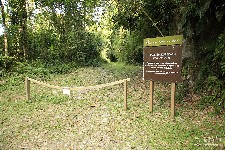  travessia rui braga - pni