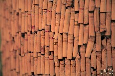  reflexos na av paulista - sp