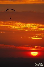  safari fotografico pedra grande - atibaia