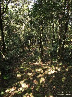  sp - santos de bike via serra velha