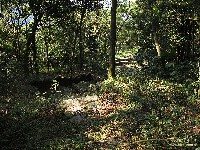  sp - santos de bike via serra velha