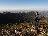  pico do papagaio