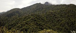  pni - parte baixa e 3 picos