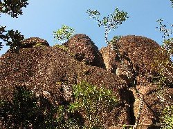  pico do corcovado de ubatuba