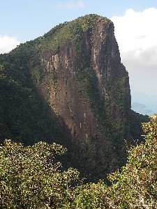  pico do corcovado de ubatuba
