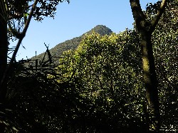  tentativa de montanha na mantiqueira