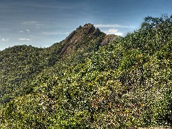  reabertura de trilha na serra do lopo