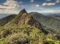  reabertura de trilha na serra do lopo