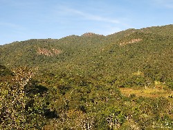  reabertura de trilha na serra do lopo