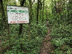  pico do selado - monte verde