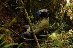  travessia marins itaguare