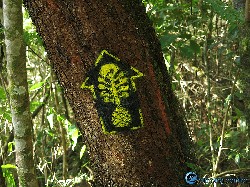  travessia serra do lopo - transmantiqueira